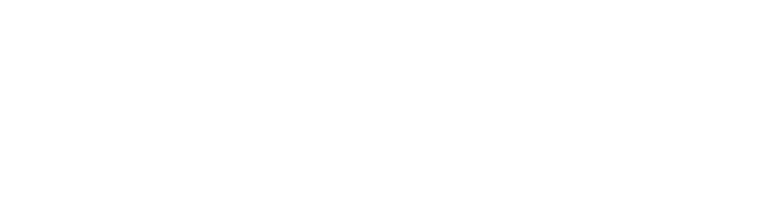 White horizontal logo